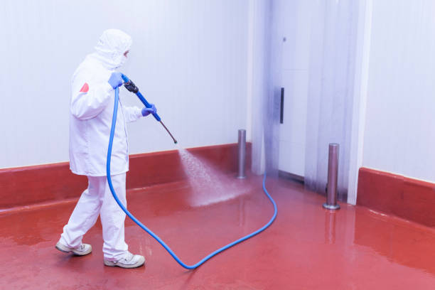 Best Driveway Pressure Washing  in Sunny Isles Beach, FL
